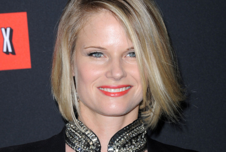 LOS ANGELES - FEB 13:  Joelle Carter the  "House Of Cards" Season 2 Premiere  on February 13, 2014 in West Hollywood, CA                ; Shutterstock ID 178319504; Usage: Web; Issue Date: 3/14/16
