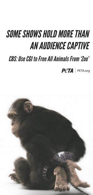 AFTV chimp ad_LATimes_fullpage10x21.5.ai