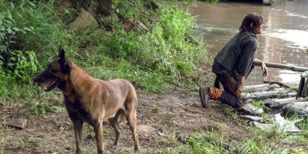 The Walking Dead: Los fans recogen más de 50.000 firmas para que no maten al perro de Daryl